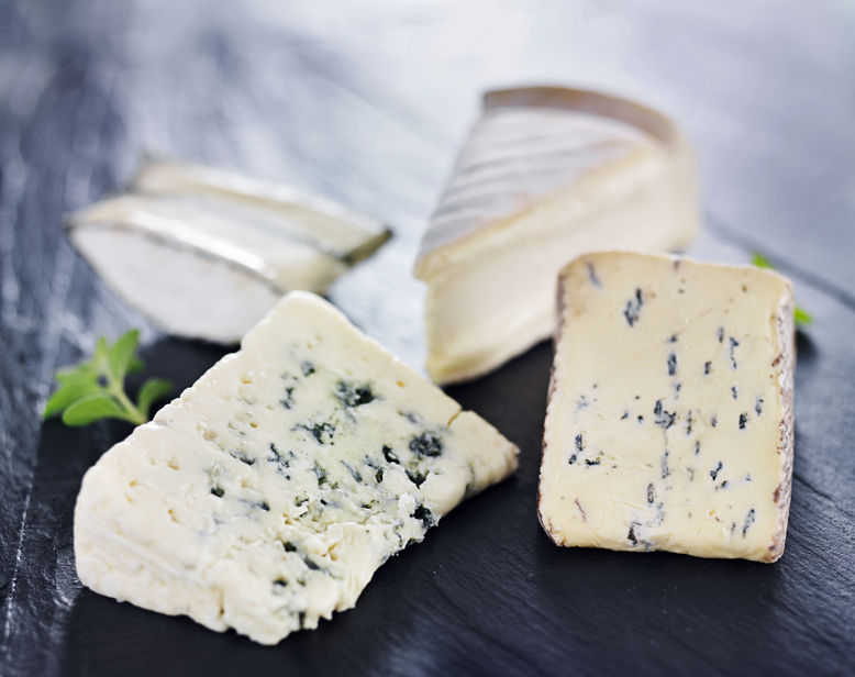 Cheese and Gut Health | Probiotic America