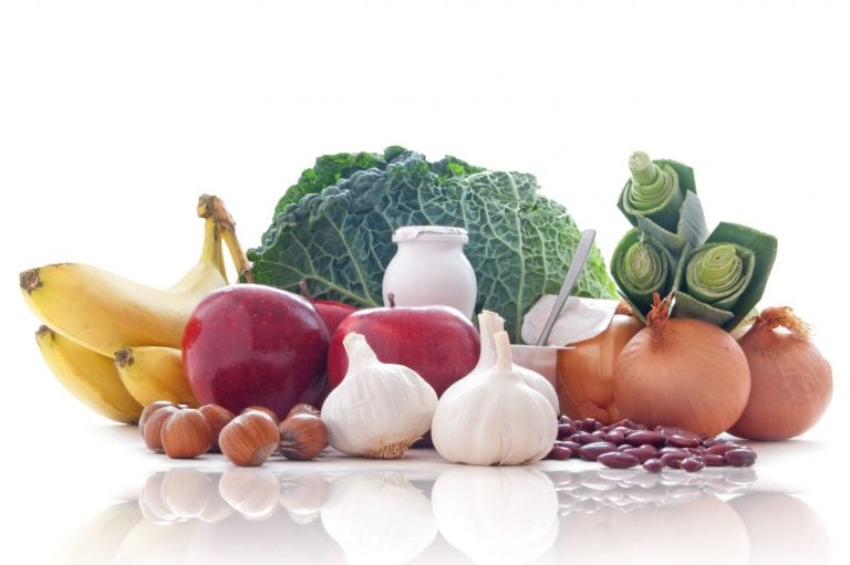Probiotic Foods | probiotic america