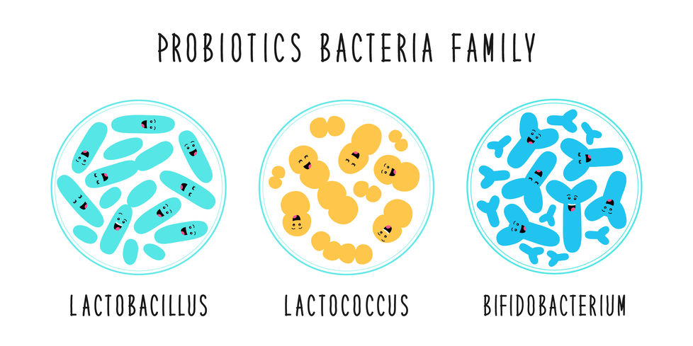 CFU Probiotics | probiotic America