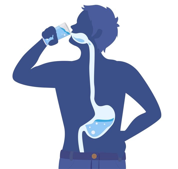 does drinking a lot of water help you lose weight | Probiotic America